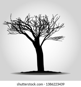 Tree icon. Forest symbol. Flat web sign on white background. Vector eps10