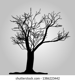 Tree icon. Forest symbol. Flat web sign on white background. Vector eps10