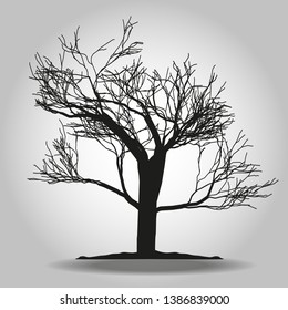 Tree icon. Forest symbol. Flat web sign on white background. Vector eps 10