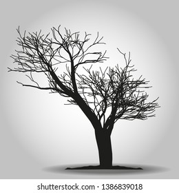 Tree icon. Forest symbol. Flat web sign on white background. Vector eps 10