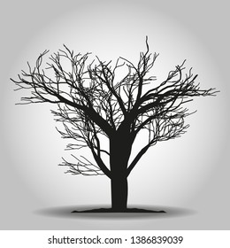 Tree icon. Forest symbol. Flat web sign on white background. Vector eps 10