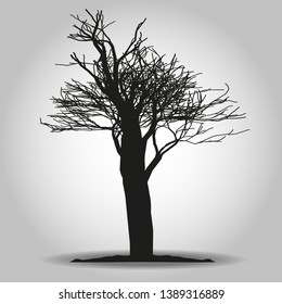Tree icon. Forest symbol. Flat web sign on white background. Vector eps10