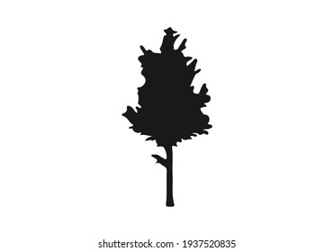 Tree icon. Forest symbol. Flat web sign on white background. Vector