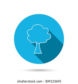 Tree icon. Forest wood sign. Nature environment symbol. Blue flat circle button with shadow. Vector