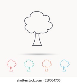 Tree icon. Forest wood sign. Nature environment symbol. Linear icons on white background. Vector