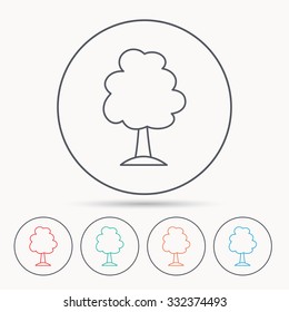 Tree icon. Forest wood sign. Nature environment symbol. Linear circle icons.