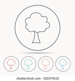 Tree icon. Forest wood sign. Nature environment symbol. Linear circle icons.