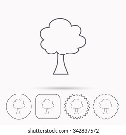 Tree icon. Forest wood sign. Nature environment symbol. Linear circle, square and star buttons with icons.