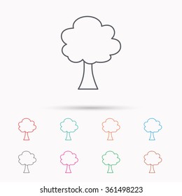 Tree icon. Forest wood sign. Nature environment symbol. Linear icons on white background.