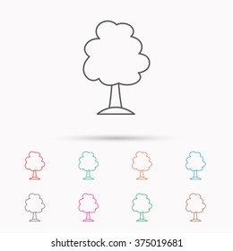Tree icon. Forest wood sign. Nature environment symbol. Linear icons on white background.