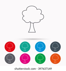 Tree icon. Forest wood sign. Nature environment symbol. Linear icons in circles on white background.