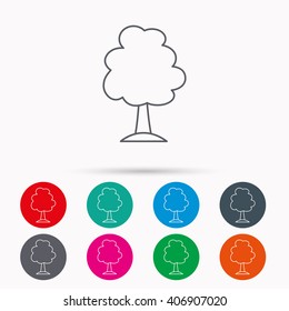 Tree icon. Forest wood sign. Nature environment symbol. Linear icons in circles on white background.