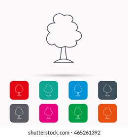 Tree icon. Forest wood sign. Nature environment symbol. Linear icons in squares on white background. Flat web symbols. Vector