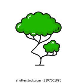 Tree icon, green plant of forest or tropical garden, vector isolated symbol. Park tree with green leaves, oak or pine and bonsai, forest elm or birch and park bushes icon