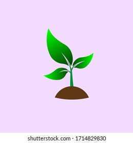 
Tree icon (greenery, leaf of tree). nature conservation. color vector with green gradient isolated on light 
pink background. Stylish icon. Isolated flat style. Symbol of environmental protection.