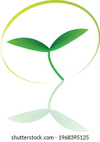 tree icon illustration. Trees forest simple plant silhouette icon. Nature oak organic set design. Planting tree infographic. Evolution concept. Sprout, plant, tree growing agriculture icons. 

