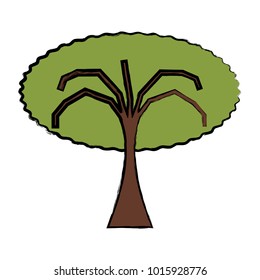 Tree icon image