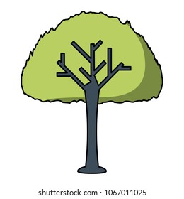 tree icon image