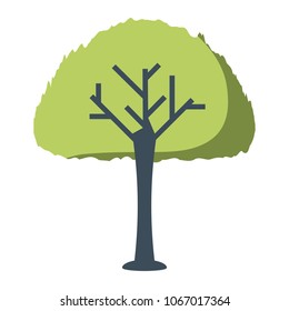 tree icon image