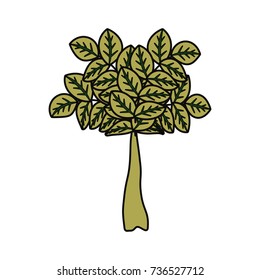 tree icon image