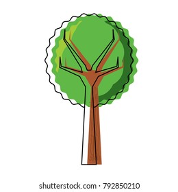 tree icon image