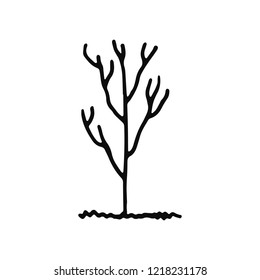 tree icon. isolated object sketch black on white background.