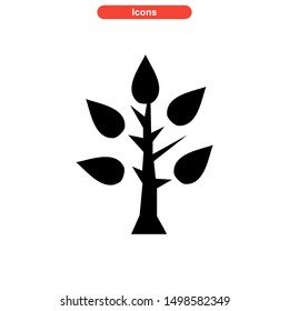 tree icon isolated sign symbol vector illustration - high quality black style vector icons
