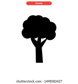 tree icon isolated sign symbol vector illustration - high quality black style vector icons
