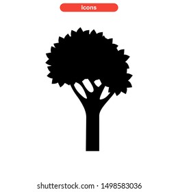 tree icon isolated sign symbol vector illustration - high quality black style vector icons
