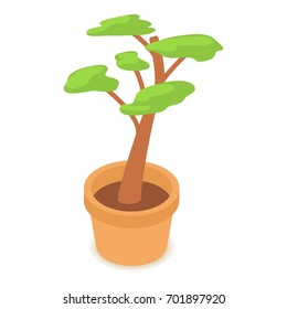 Tree icon. Isometric illustration of tree vector icon for web