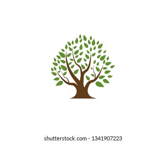 Tree icon logo design 