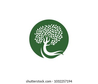 Tree icon logo template vector illustration