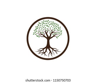 Tree icon logo template vector illustration