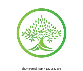 Tree icon logo template vector illustration