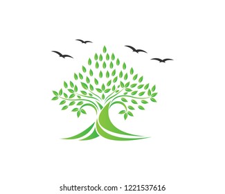 Tree icon logo template vector illustration