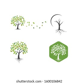 Tree icon logo template vector illustration