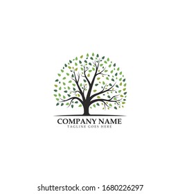 Tree icon logo template vector illustration design