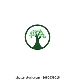 Tree icon  logo template vector illustration