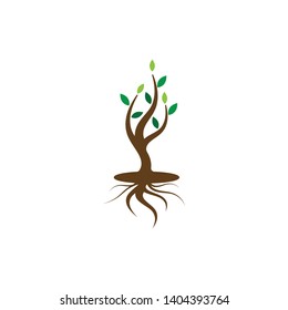 Tree icon logo vector concept of a stylized 
