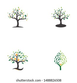Tree icon logo vector concepts

