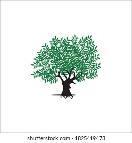 Tree  icon logo, vector design illustration 