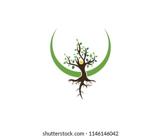 Tree icon logo vector illustration