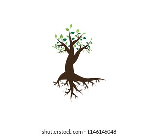 Tree icon logo vector illustration