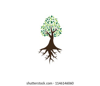 Tree icon logo vector illustration