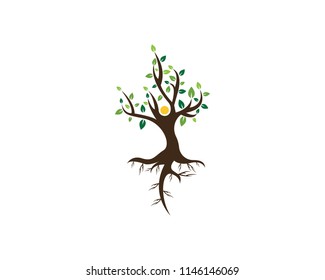 Tree icon logo vector illustration