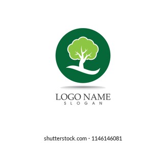 Tree icon logo vector illustration