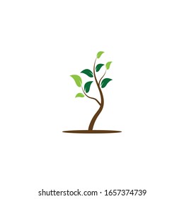 Tree icon logo vector on white background