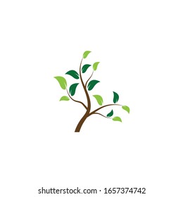 Tree icon logo vector on white background