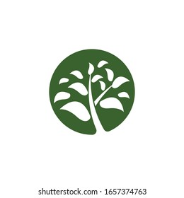 Tree icon logo vector on white background