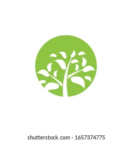 Tree icon logo vector on white background